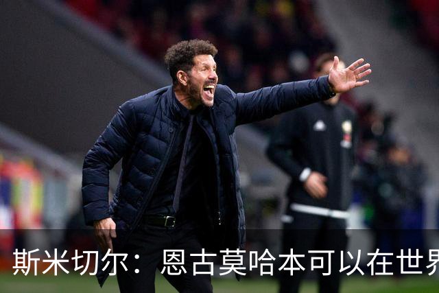 斯米切尔：恩古莫哈本可以在世界杯改变局势，但他能参加下一届