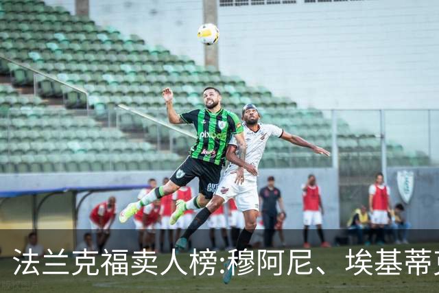 法兰克福卖人榜:穆阿尼、埃基蒂克9500万 约维奇、阿莱、布朗在列