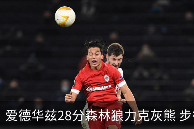 爱德华兹28分森林狼力克灰熊 步行者险胜国王